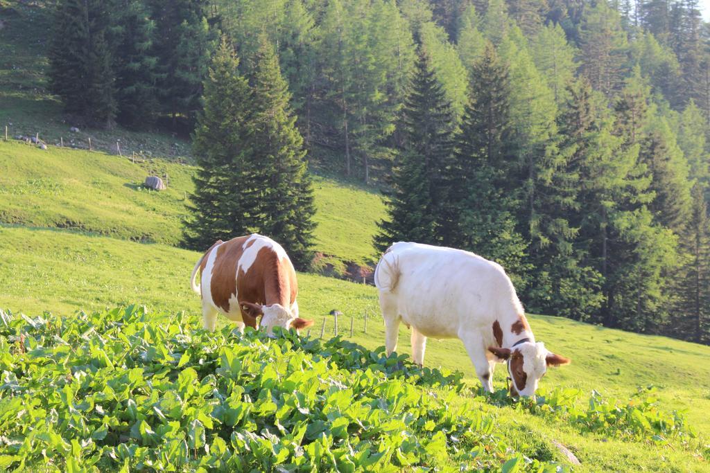 Salzburger Dolomitenhof Annaberg im Lammertal Exterior foto