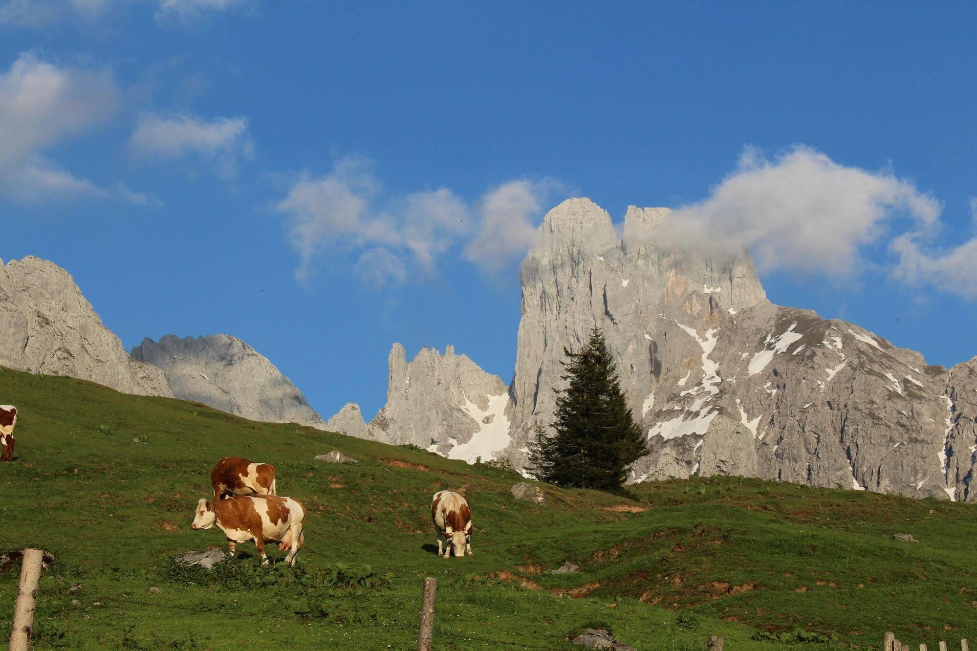 Salzburger Dolomitenhof Annaberg im Lammertal Exterior foto